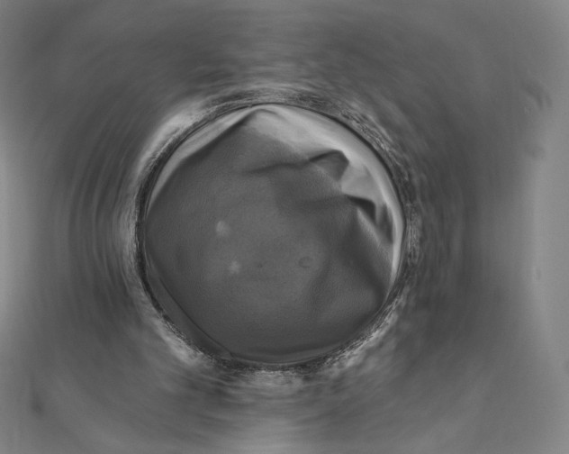 X0000112030101200908311224