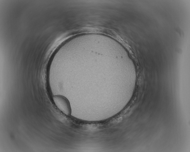 X0000112030103200908311223