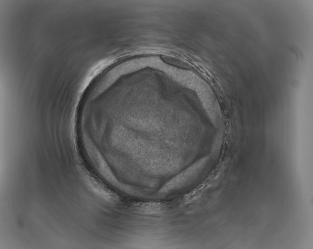 X0000112030104200908311223