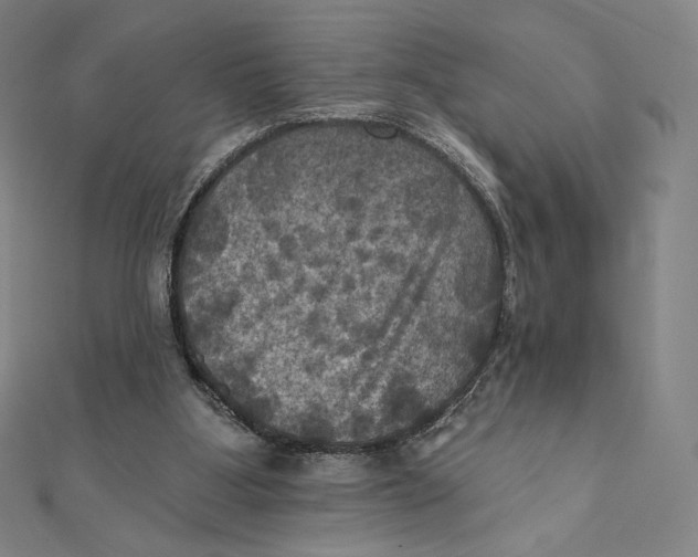 X0000112030107200908311223