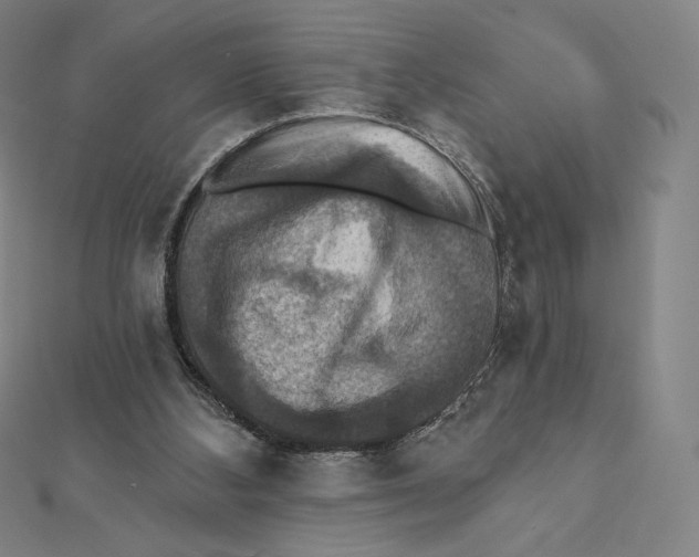 X0000112030108200908311223