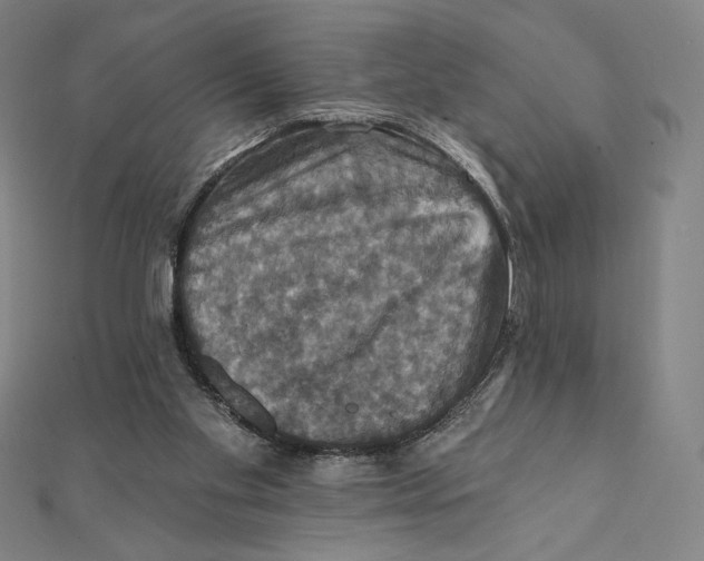 X0000112030109200908311223