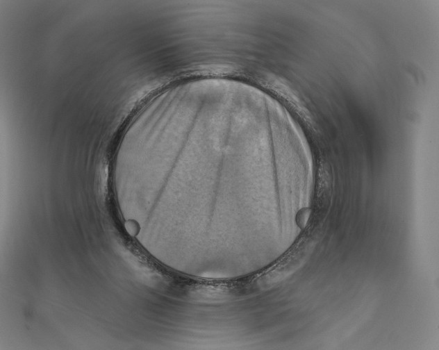X0000112030110200908311223
