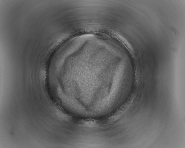 X0000112030113200908311223