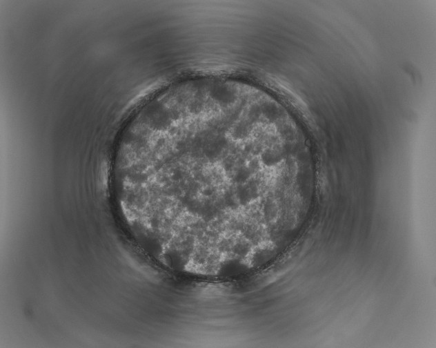 X0000112030115200908311223