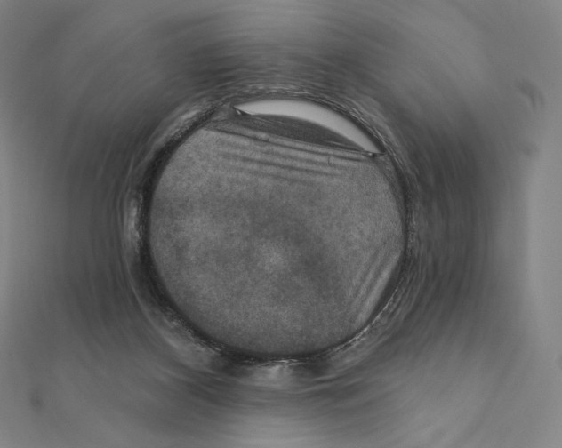 X0000112030116200908311223