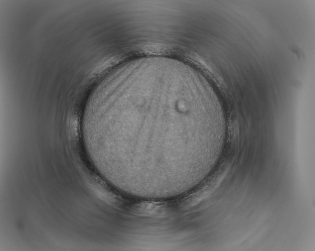X0000112030117200908311223