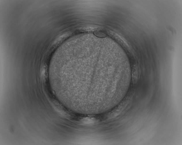 X0000112030119200908311223