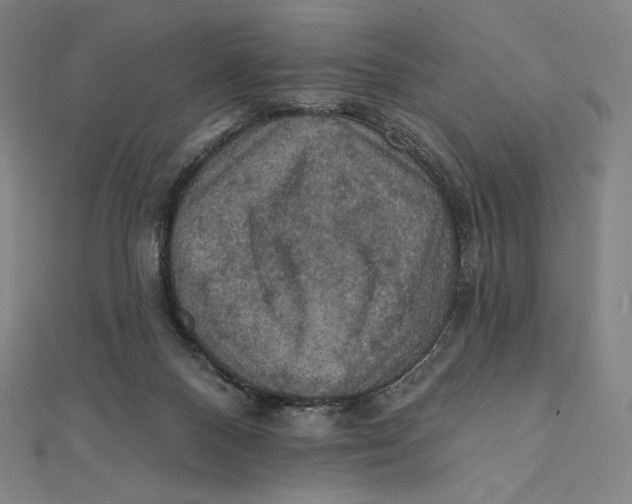 X0000112030120200908311223