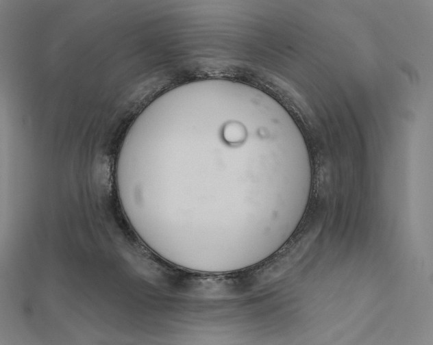 X0000112030121200908311223