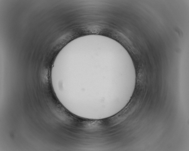 X0000112030122200908311223