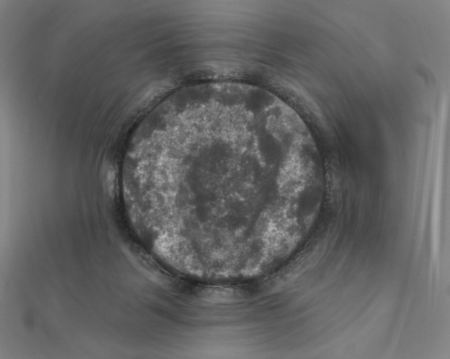 X0000112030123200908311223