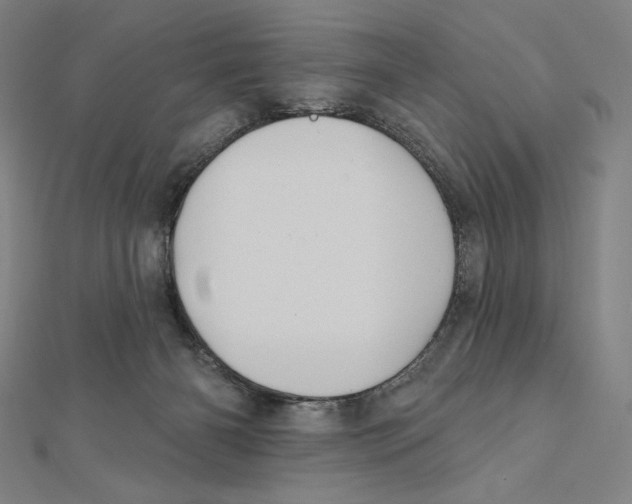 X0000112030126200908311223