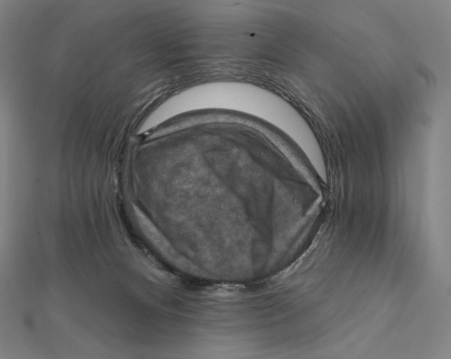 X0000112030128200908311223