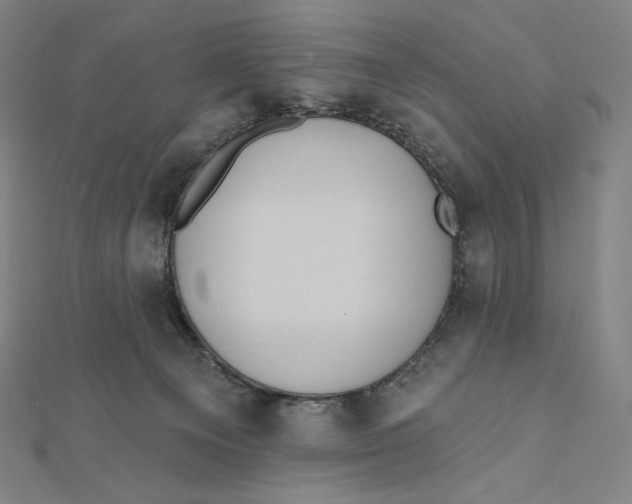 X0000112030129200908311223