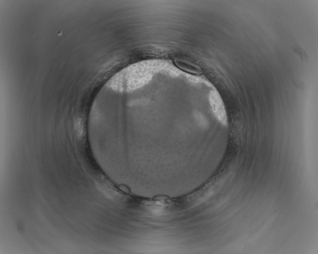 X0000112030131200908311223