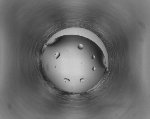 X0000112030132200908311223