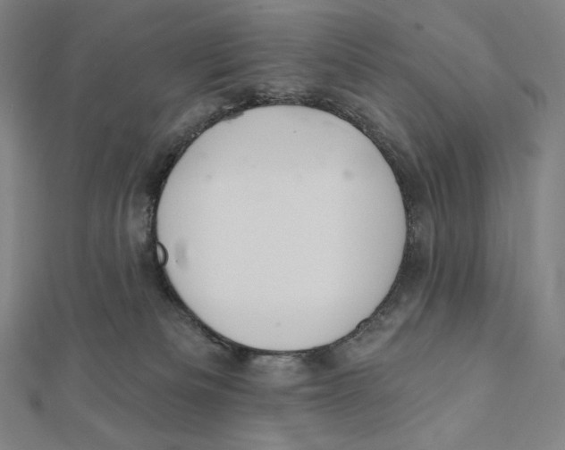 X0000112030133200908311223