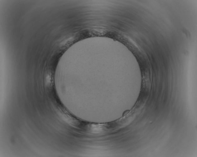 X0000112030134200908311223