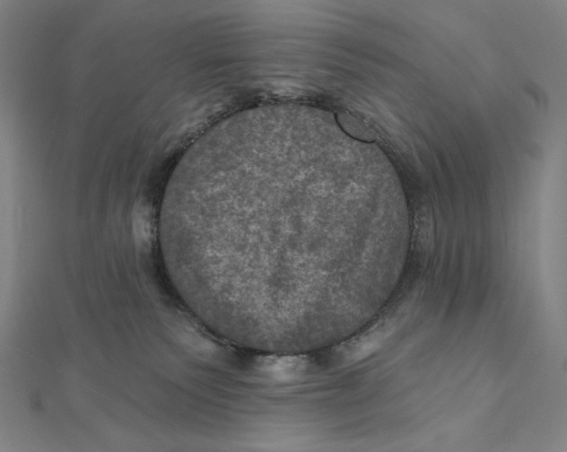 X0000112030135200908311223