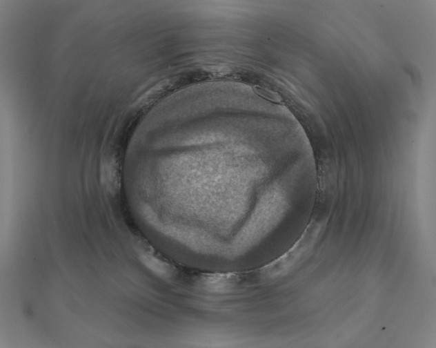 X0000112030136200908311223