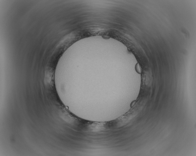 X0000112030138200908311223