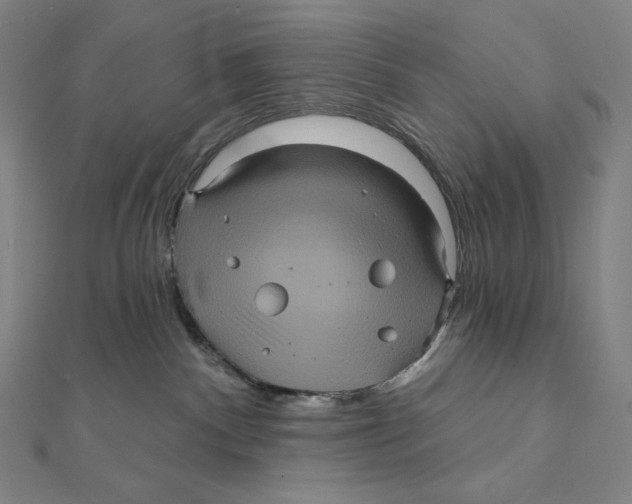 X0000112030140200908311223