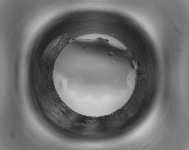 X0000112030143200908311223