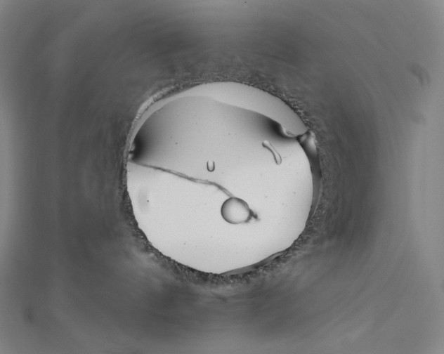 X0000112030144200908311223