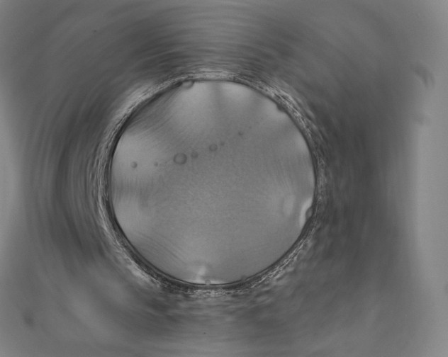 X0000112030145200908311222