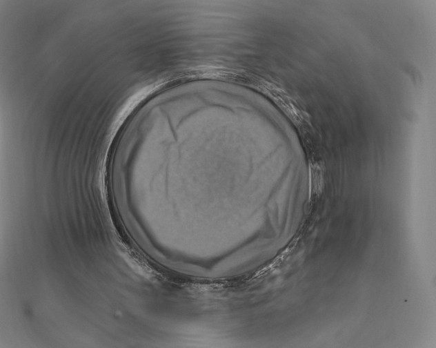 X0000112030147200908311222