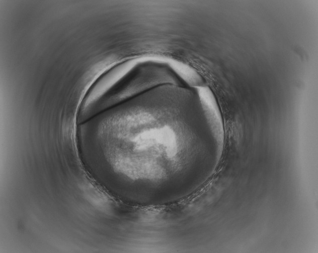 X0000112030148200908311222