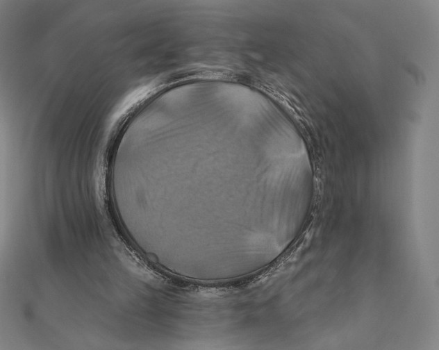 X0000112030149200908311222