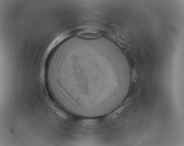 X0000112030150200908311222