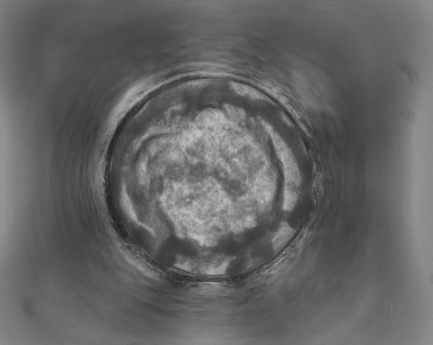 X0000112030151200908311222