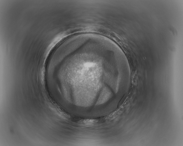 X0000112030152200908311222