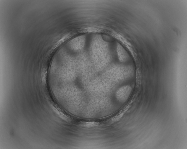 X0000112030153200908311222