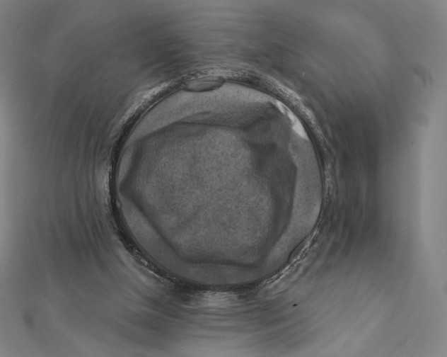 X0000112030154200908311222