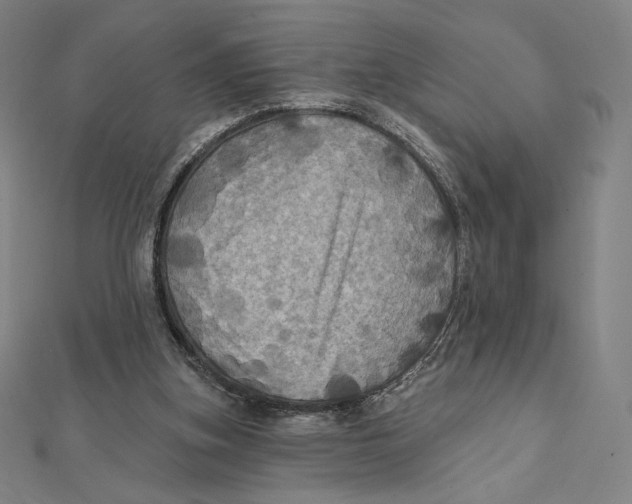 X0000112030155200908311222