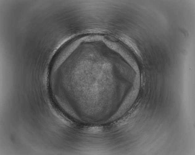 X0000112030156200908311222