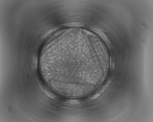 X0000112030157200908311222