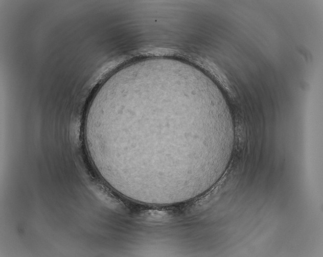 X0000112030159200908311222