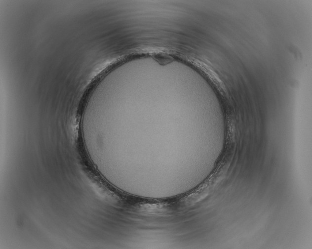 X0000112030160200908311223