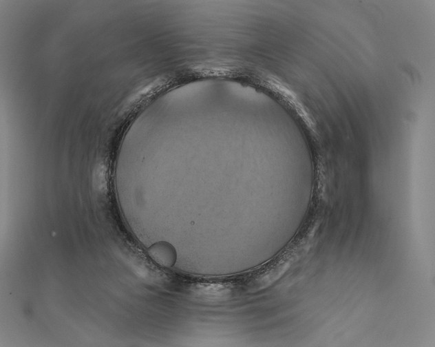 X0000112030161200908311223