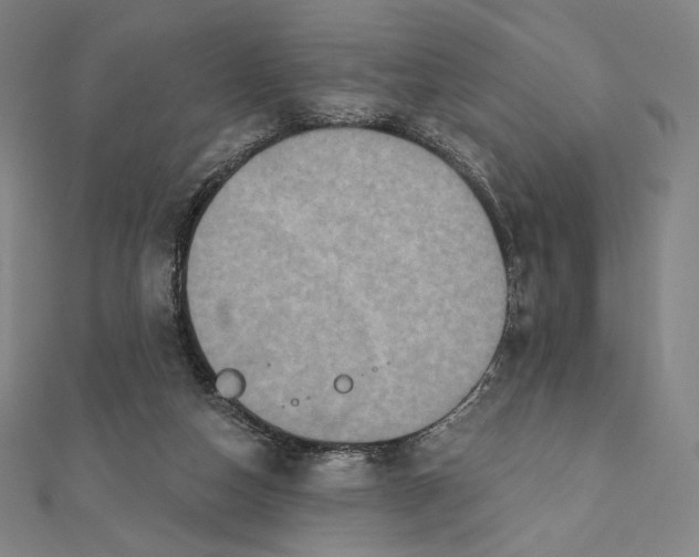 X0000112030162200908311223