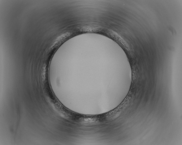 X0000112030163200908311223
