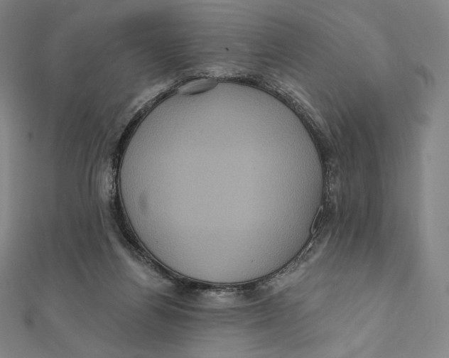 X0000112030164200908311223