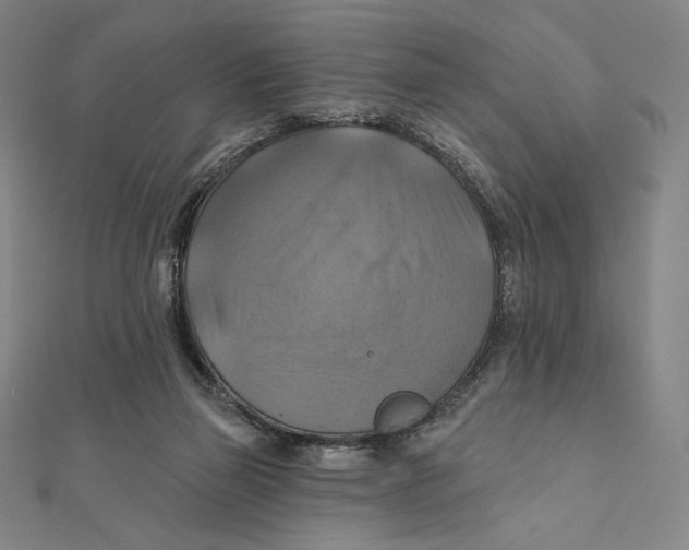 X0000112030165200908311223