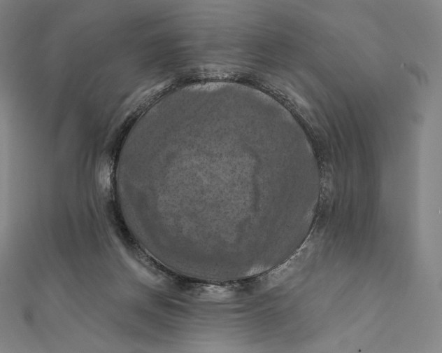 X0000112030166200908311223