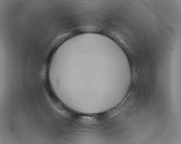 X0000112030167200908311223